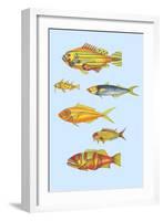 Rarest Curiosities of the Fish of the Indies-Louis Renard-Framed Art Print