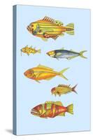 Rarest Curiosities of the Fish of the Indies-Louis Renard-Stretched Canvas