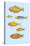 Rarest Curiosities of the Fish of the Indies-Louis Renard-Stretched Canvas