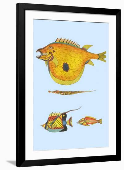 Rarest Curiosities of the Fish of the Indies-Louis Renard-Framed Art Print