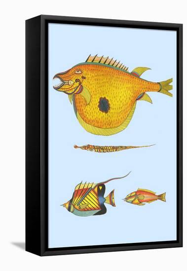 Rarest Curiosities of the Fish of the Indies-Louis Renard-Framed Stretched Canvas