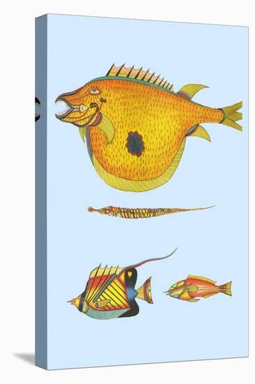 Rarest Curiosities of the Fish of the Indies-Louis Renard-Stretched Canvas