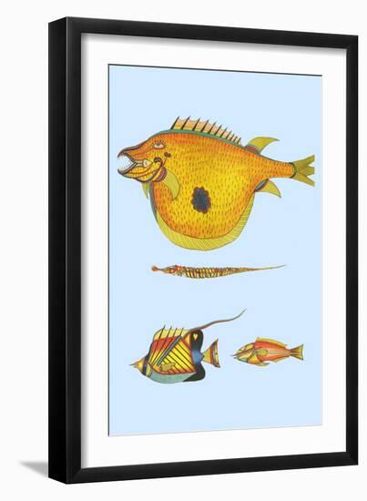 Rarest Curiosities of the Fish of the Indies-Louis Renard-Framed Art Print