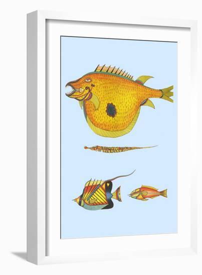 Rarest Curiosities of the Fish of the Indies-Louis Renard-Framed Art Print