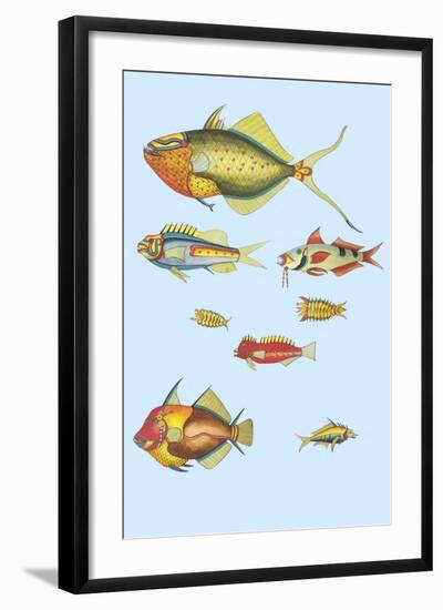 Rarest Curiosities of the Fish of the Indies-Louis Renard-Framed Art Print