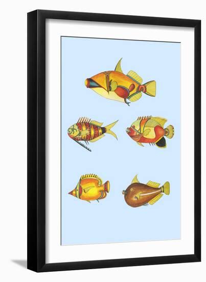 Rarest Curiosities of the Fish of the Indies-Louis Renard-Framed Art Print