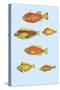 Rarest Curiosities of the Fish of the Indies-Louis Renard-Stretched Canvas