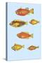 Rarest Curiosities of the Fish of the Indies-Louis Renard-Stretched Canvas