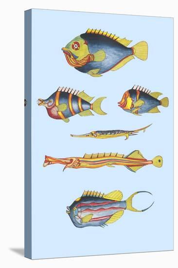 Rarest Curiosities of the Fish of the Indies-Louis Renard-Stretched Canvas