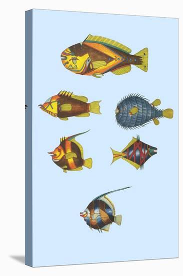 Rarest Curiosities of the Fish of the Indies-Louis Renard-Stretched Canvas