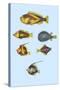 Rarest Curiosities of the Fish of the Indies-Louis Renard-Stretched Canvas