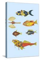 Rarest Curiosities of the Fish of the Indies-Louis Renard-Stretched Canvas