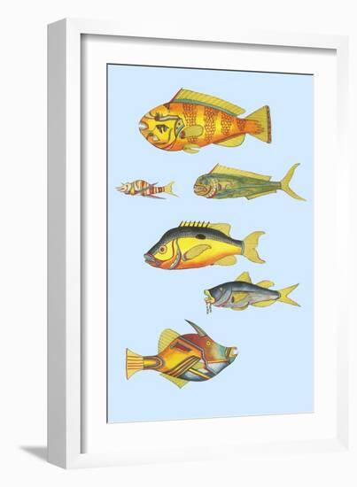 Rarest Curiosities of the Fish of the Indies-Louis Renard-Framed Art Print