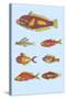 Rarest Curiosities of the Fish of the Indies-Louis Renard-Stretched Canvas