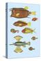 Rarest Curiosities of the Fish of the Indies-Louis Renard-Stretched Canvas