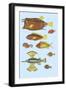 Rarest Curiosities of the Fish of the Indies-Louis Renard-Framed Art Print