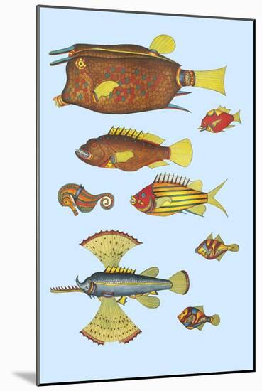 Rarest Curiosities of the Fish of the Indies-Louis Renard-Mounted Art Print