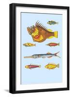 Rarest Curiosities of the Fish of the Indies-Louis Renard-Framed Art Print