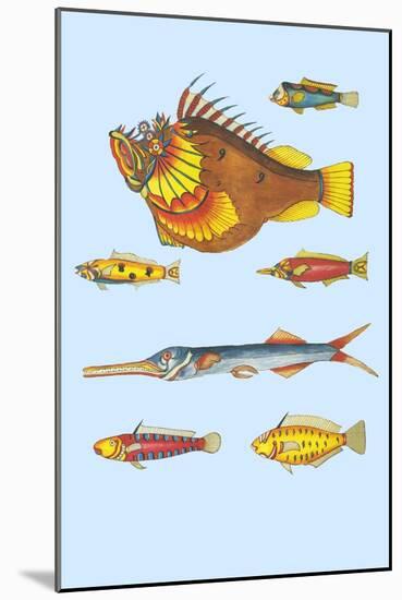 Rarest Curiosities of the Fish of the Indies-Louis Renard-Mounted Art Print