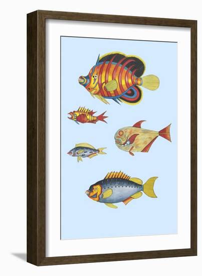 Rarest Curiosities of the Fish of the Indies-Louis Renard-Framed Art Print