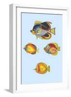 Rarest Curiosities of the Fish of the Indies-Louis Renard-Framed Art Print