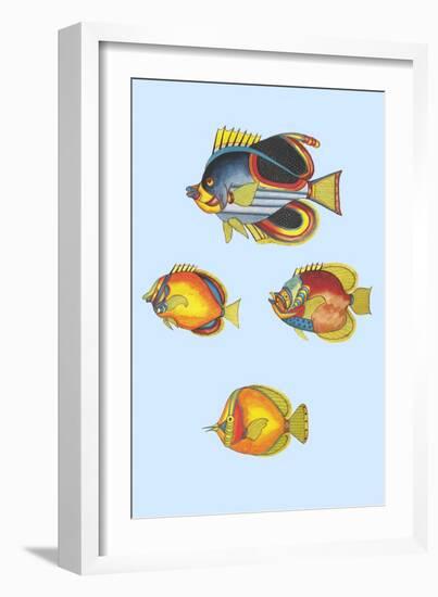 Rarest Curiosities of the Fish of the Indies-Louis Renard-Framed Art Print