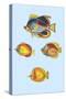 Rarest Curiosities of the Fish of the Indies-Louis Renard-Stretched Canvas