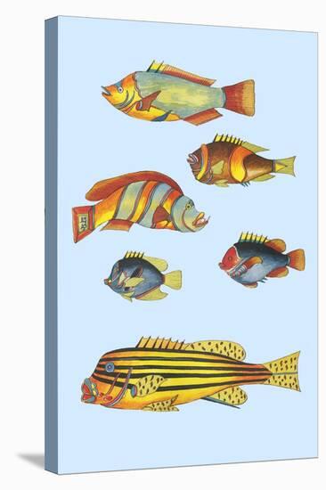 Rarest Curiosities of the Fish of the Indies-Louis Renard-Stretched Canvas