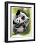 Rarified-Barbara Keith-Framed Giclee Print