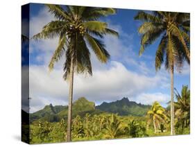 Rarotonga, Cook Islands, South Pacific-Doug Pearson-Stretched Canvas