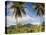 Rarotonga, Cook Islands, South Pacific-Doug Pearson-Stretched Canvas