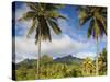 Rarotonga, Cook Islands, South Pacific-Doug Pearson-Stretched Canvas