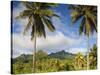 Rarotonga, Cook Islands, South Pacific-Doug Pearson-Stretched Canvas