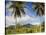 Rarotonga, Cook Islands, South Pacific-Doug Pearson-Stretched Canvas