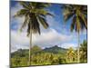 Rarotonga, Cook Islands, South Pacific-Doug Pearson-Mounted Photographic Print