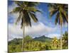 Rarotonga, Cook Islands, South Pacific-Doug Pearson-Mounted Photographic Print