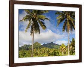 Rarotonga, Cook Islands, South Pacific-Doug Pearson-Framed Photographic Print