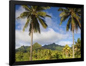 Rarotonga, Cook Islands, South Pacific-Doug Pearson-Framed Photographic Print