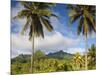 Rarotonga, Cook Islands, South Pacific-Doug Pearson-Mounted Photographic Print