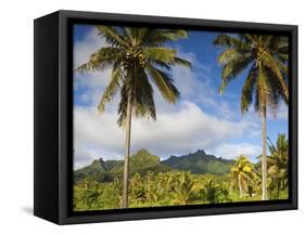 Rarotonga, Cook Islands, South Pacific-Doug Pearson-Framed Stretched Canvas