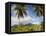 Rarotonga, Cook Islands, South Pacific-Doug Pearson-Framed Stretched Canvas