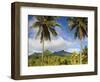 Rarotonga, Cook Islands, South Pacific-Doug Pearson-Framed Photographic Print