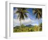 Rarotonga, Cook Islands, South Pacific-Doug Pearson-Framed Photographic Print