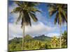 Rarotonga, Cook Islands, South Pacific-Doug Pearson-Mounted Photographic Print