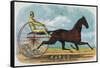 Rarus Brand Cigar Box Label, Horse Racing-Lantern Press-Framed Stretched Canvas