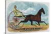 Rarus Brand Cigar Box Label, Horse Racing-Lantern Press-Stretched Canvas