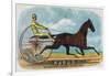 Rarus Brand Cigar Box Label, Horse Racing-Lantern Press-Framed Art Print