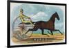 Rarus Brand Cigar Box Label, Horse Racing-Lantern Press-Framed Art Print