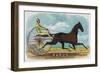 Rarus Brand Cigar Box Label, Horse Racing-Lantern Press-Framed Art Print