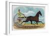 Rarus Brand Cigar Box Label, Horse Racing-Lantern Press-Framed Art Print